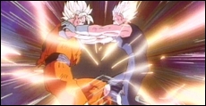 Fight Majin Vegeta!!!